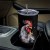 508215121 Painted Cock 20oz Stainless Steel Tumbler