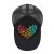 Rainbow Paw Heart Snapback Hat